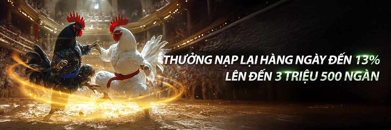 Hình ảnh đại diện dịch vụ hỗ trợ khách hàng 24/7 của MB6688